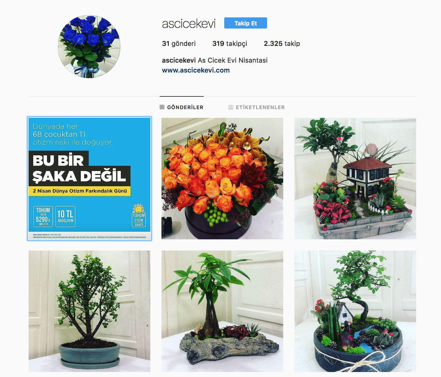 As Çiçek Evi İnstagram