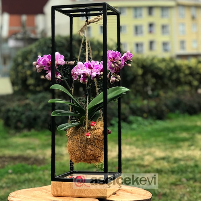 Baharın Gelişini Çiçek ve Kadınla Bize Anlatan İllüstrasyonlar
