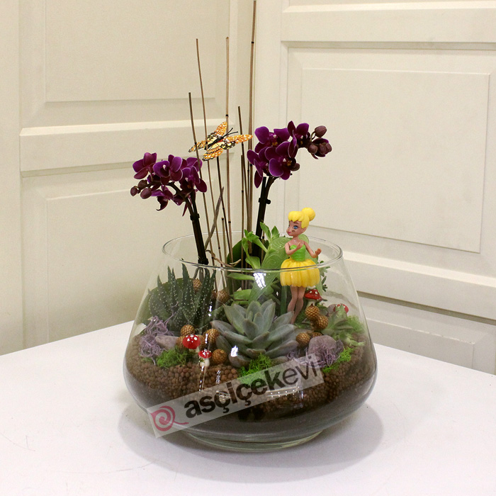 Bitmeyen Aşkınıza Özel Terarium