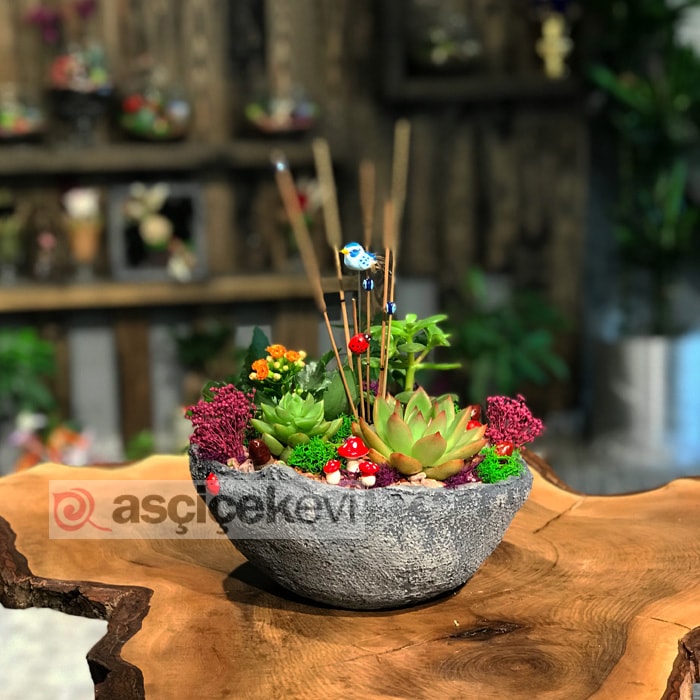 Eve Çiçek Gönder
