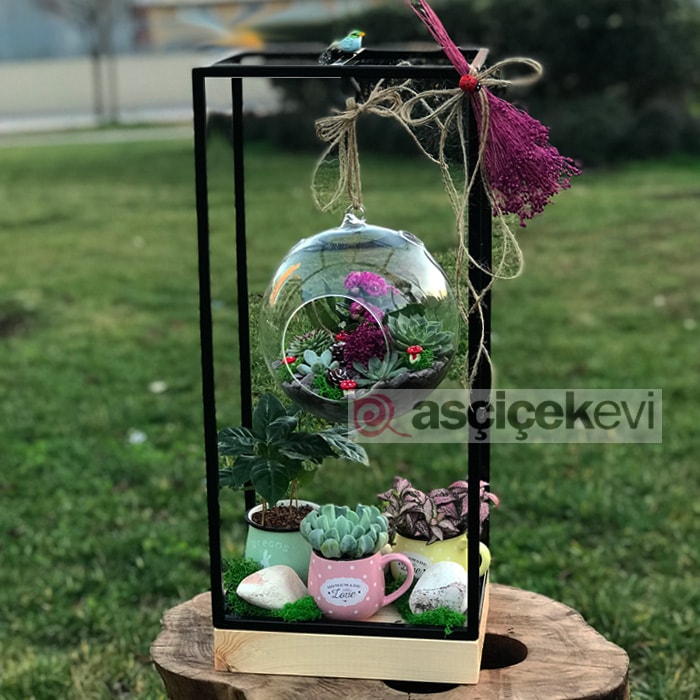 Galata Terarium Kime Alınır?