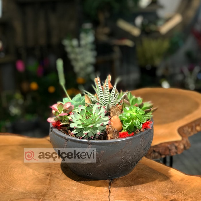 Kurumsal Çiçek Siparişi