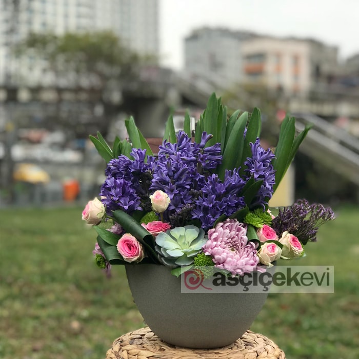 Sümbül Çiçeğine Nasıl Bakılır?