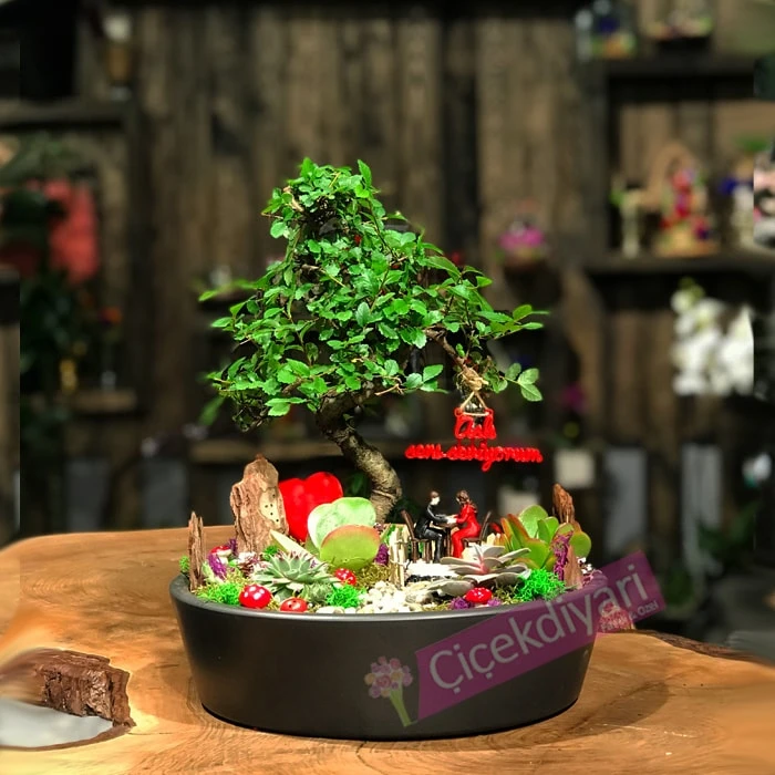 Dünyanın Her Yerine Çiçek