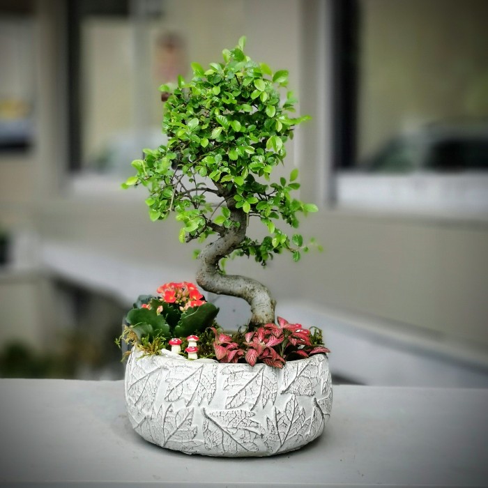 bonsai gemalt Bonsai 21 Rooted: Elegant Japanese Art Print for Serene Spaces – Wes Henry