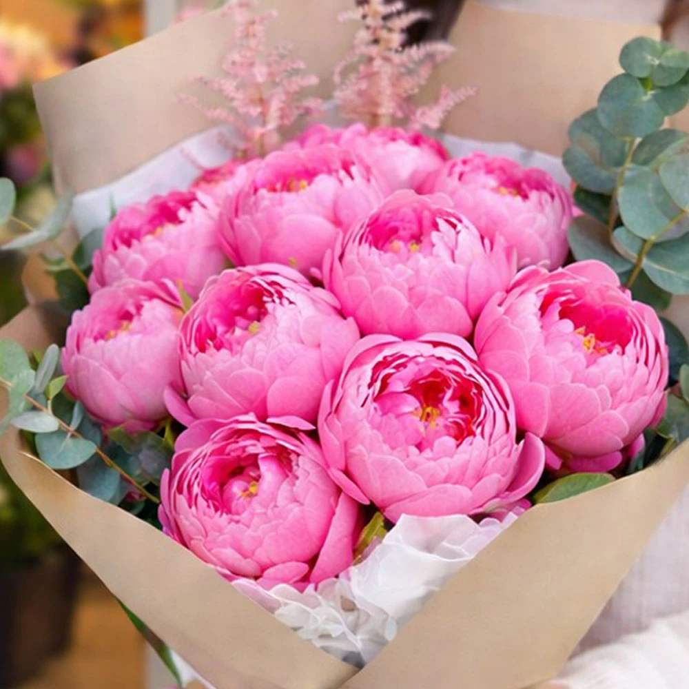 Pembe Şakayıklar