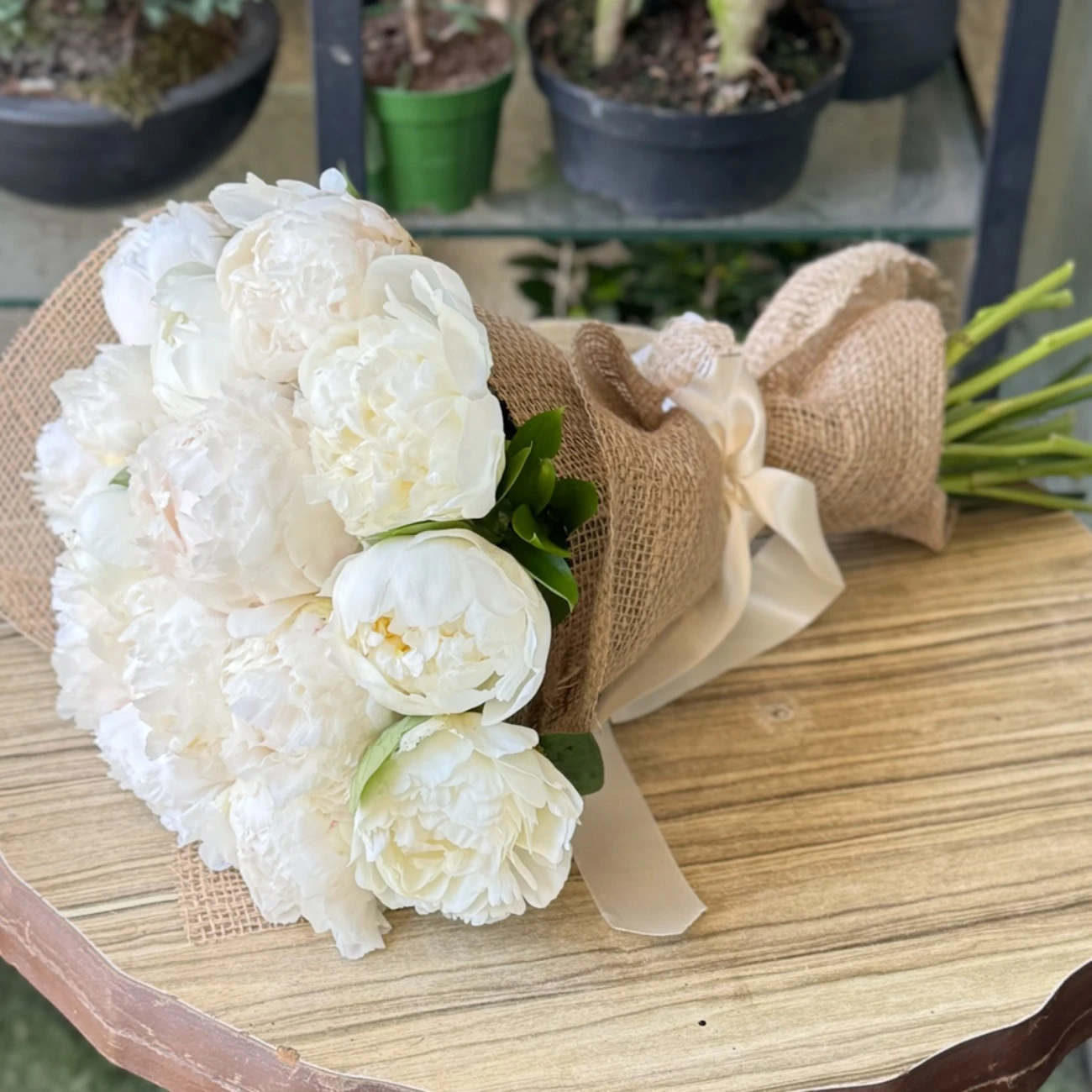 Şakayık - Peony