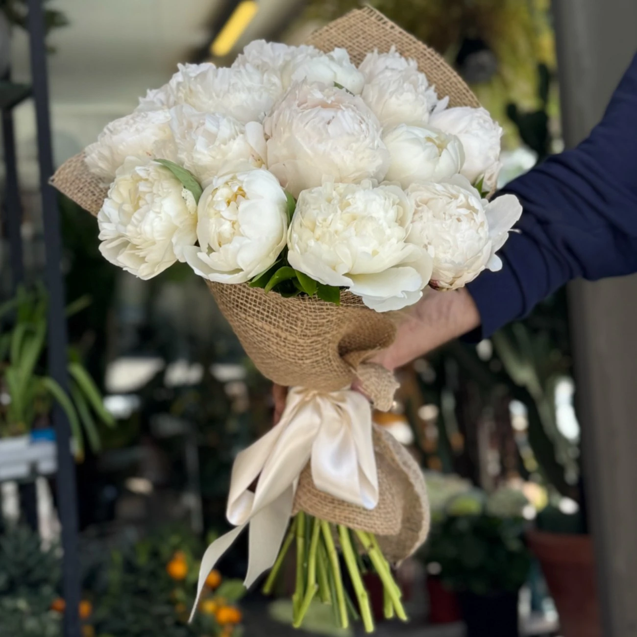 Şakayık - Peony
