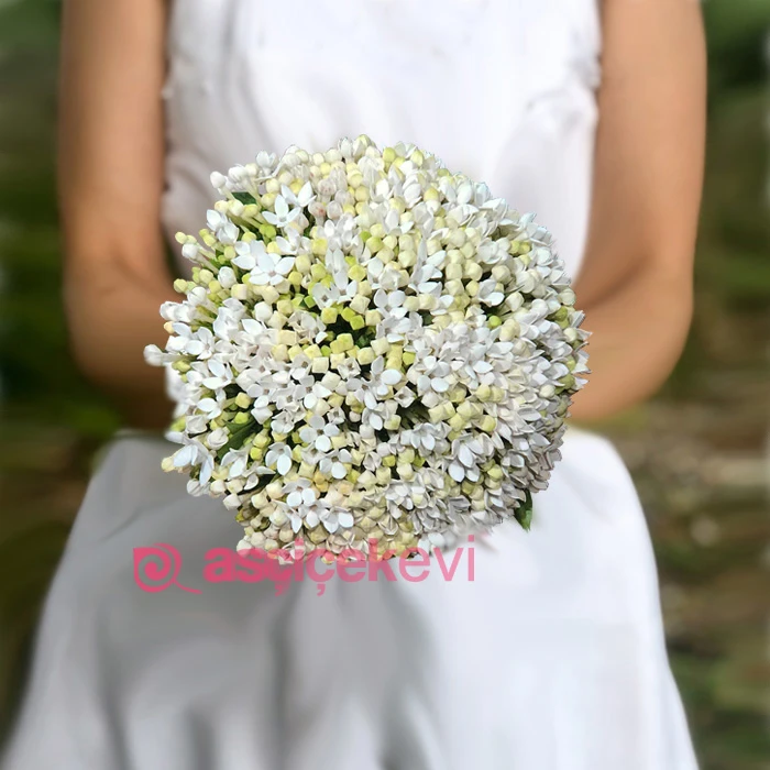 Bouvardia Gelin Buketi