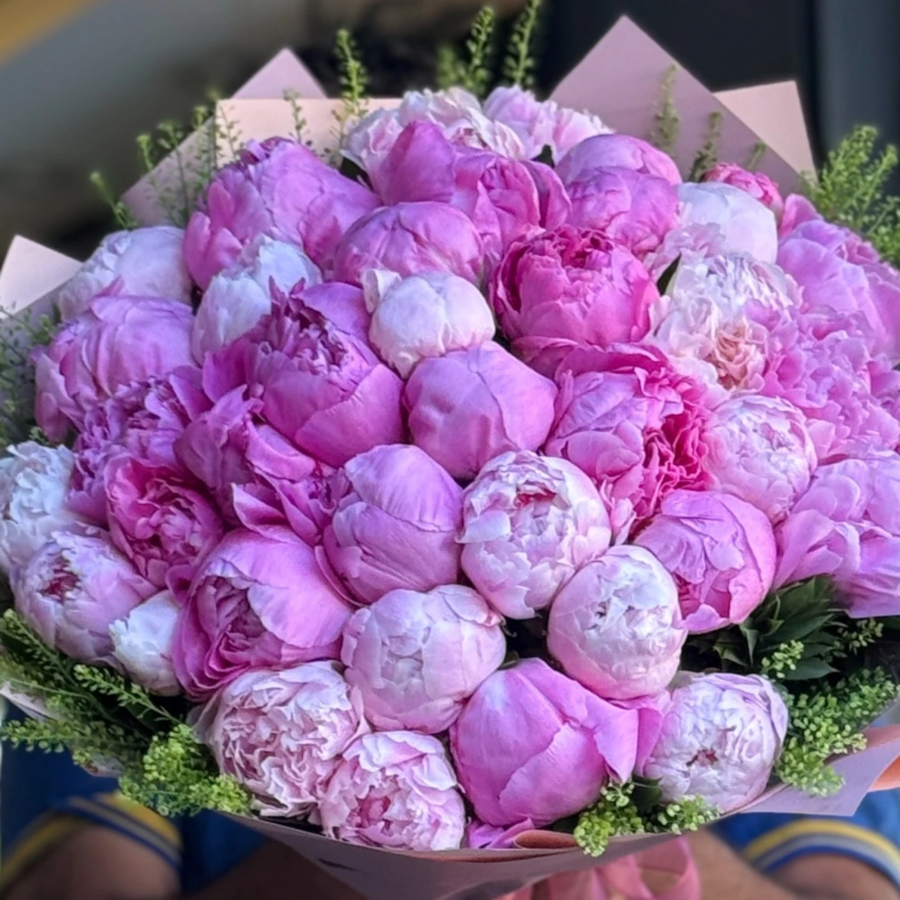 Peony Sara Bernard