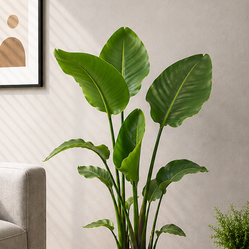 Strelitzia - Cennet Kuşu